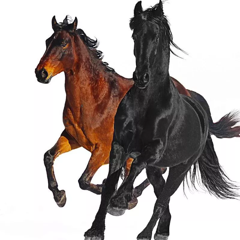 Old Town Road