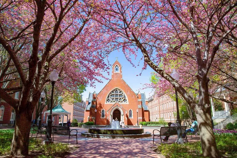 Georgetown University