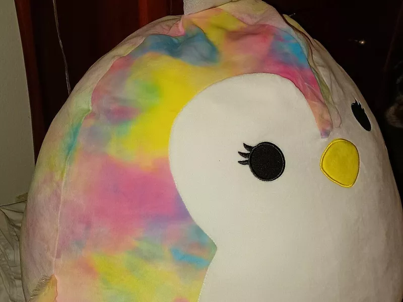 Louisa the Penguin Squishmallow Photo