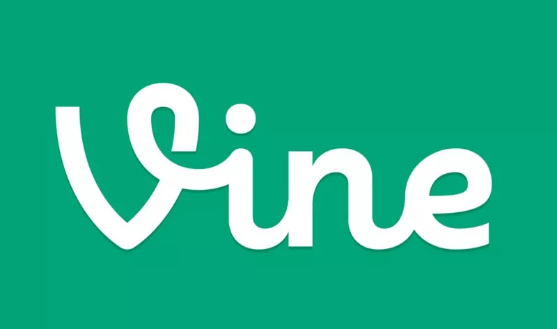 Vine