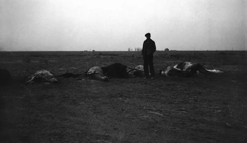 Farmer in the Dust Bowl