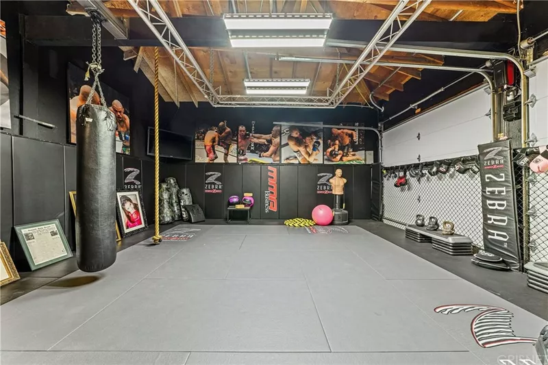 Joe Rogan's home gym