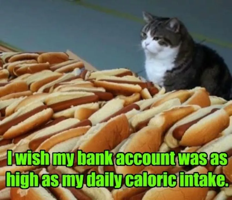 Cat vs. hot dogs