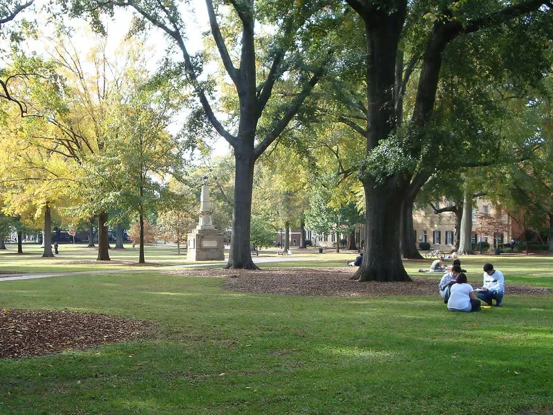 University of South Carolina Horseshoe