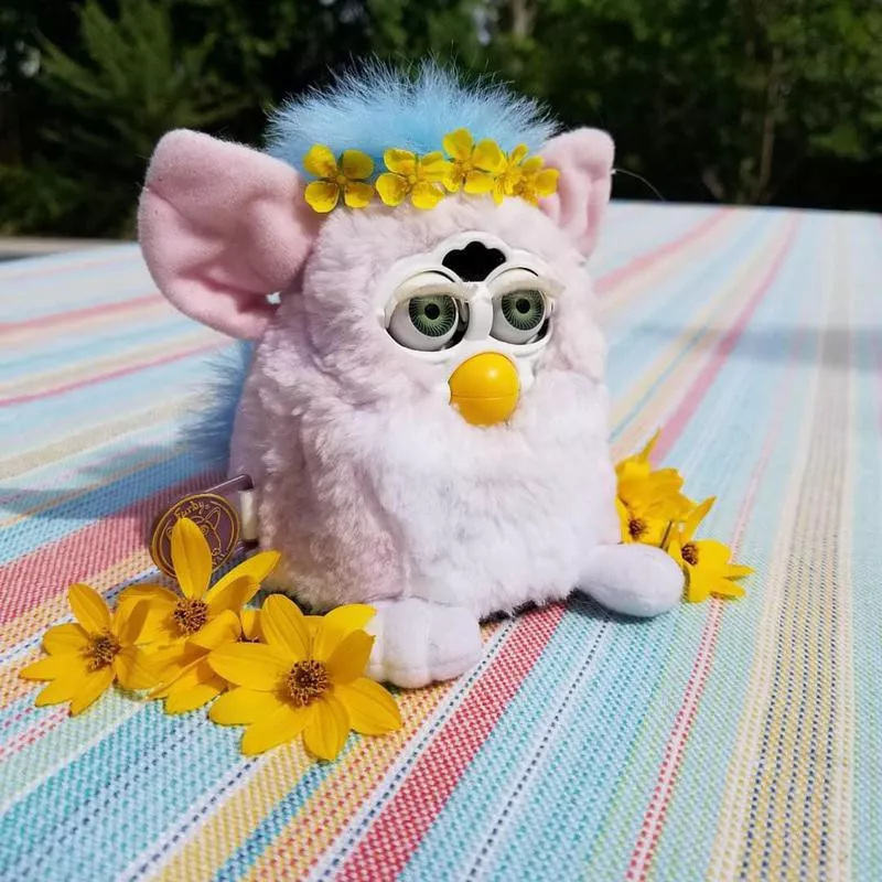 Furby