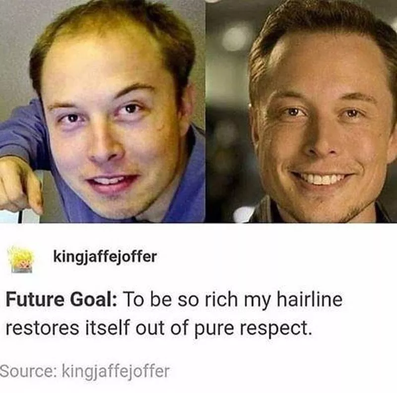 elon hair restoration