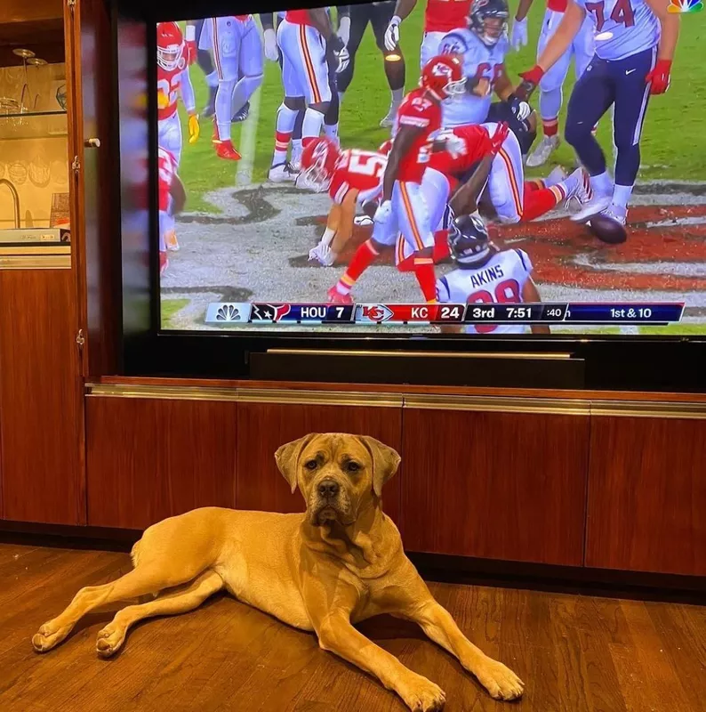 Patrick Mahomes' dog, Silver