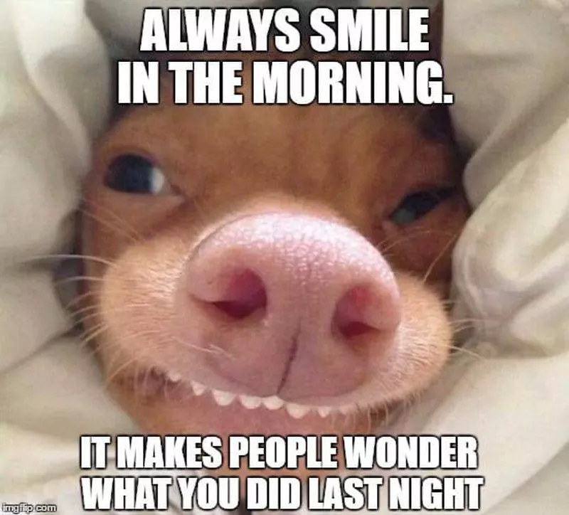 Smile in the morning meme