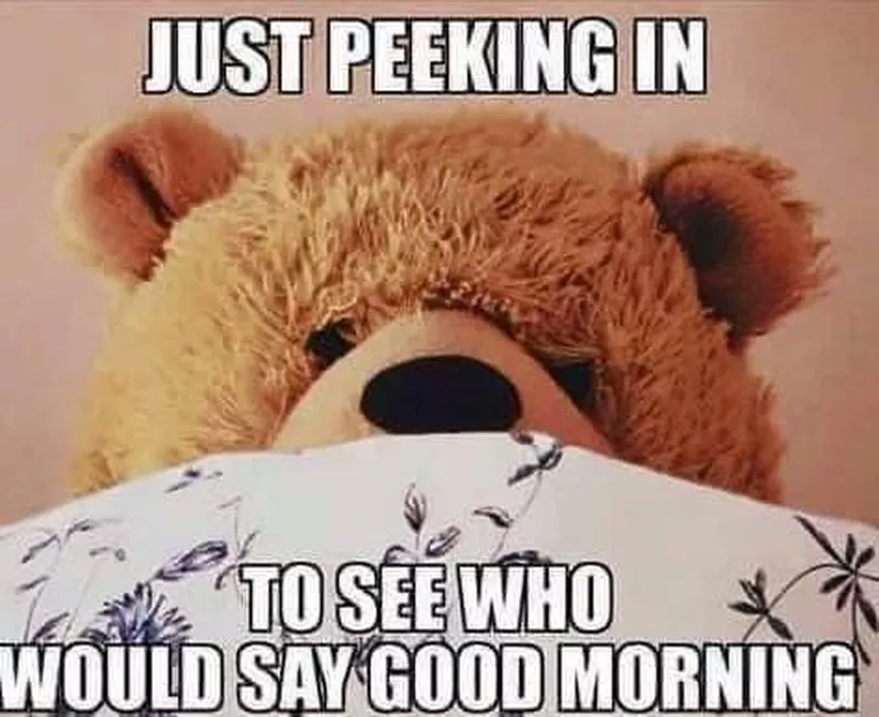 Teddy bear meme