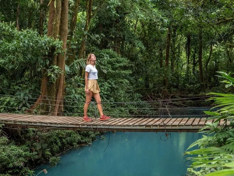 Rainforest in Costa Rica