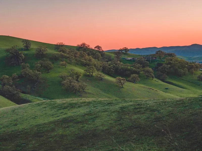 Sunset in Camino Tassajara