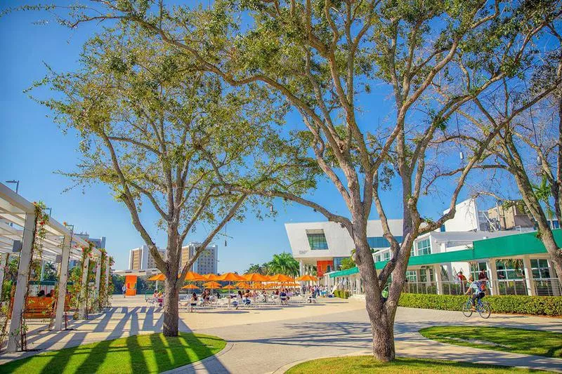 University of Miami