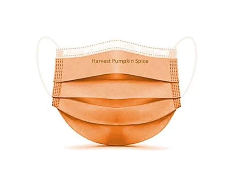 Pumpkin Spice Face Masks