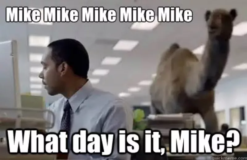 Camel at the office meme