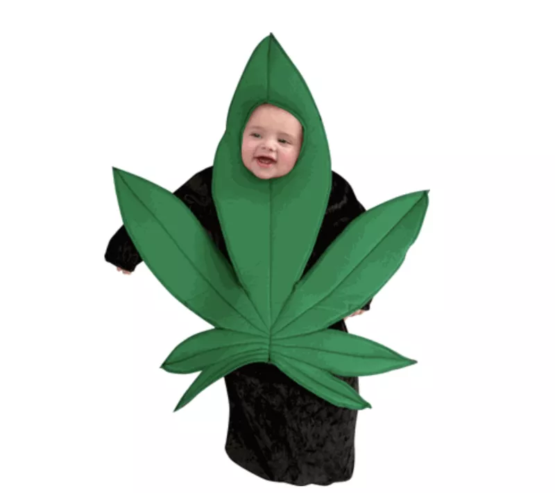 Pot baby