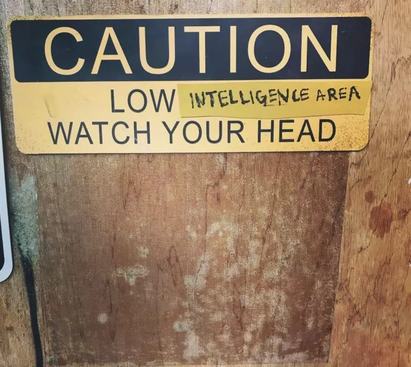 Low intelligence