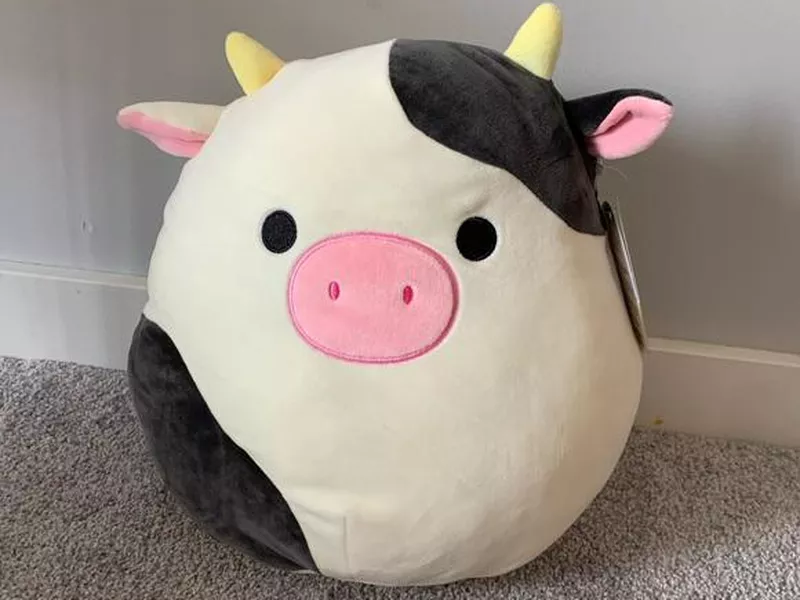 Connor the Cow Squishmallow