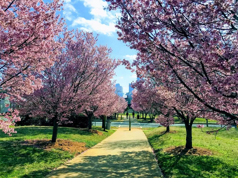 Spring Color on the Greenway