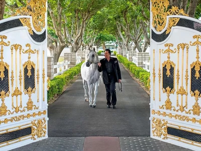 Wayne Newton with an Arabian horse