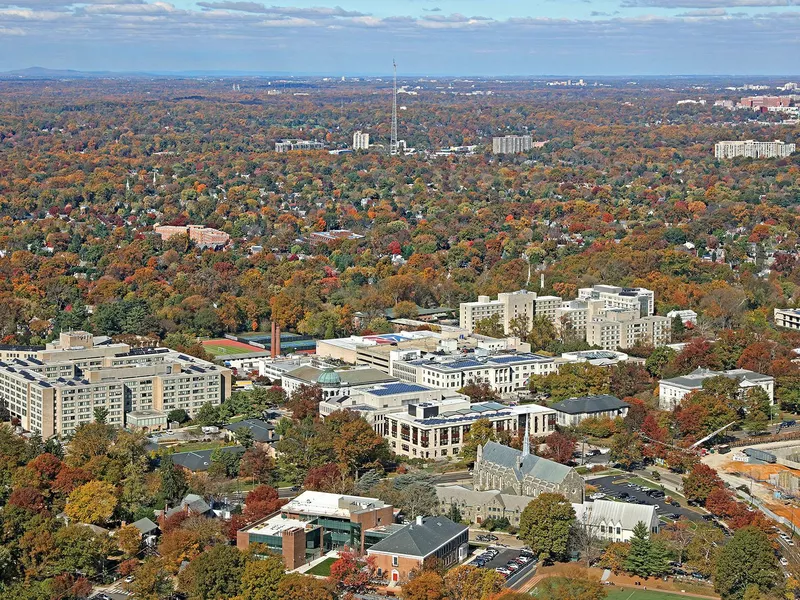 American University