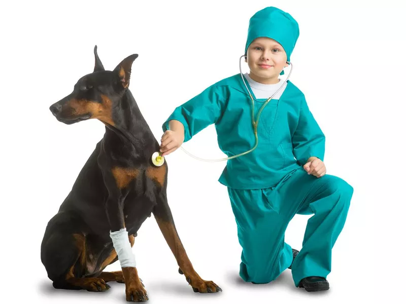 Little boy playing vet