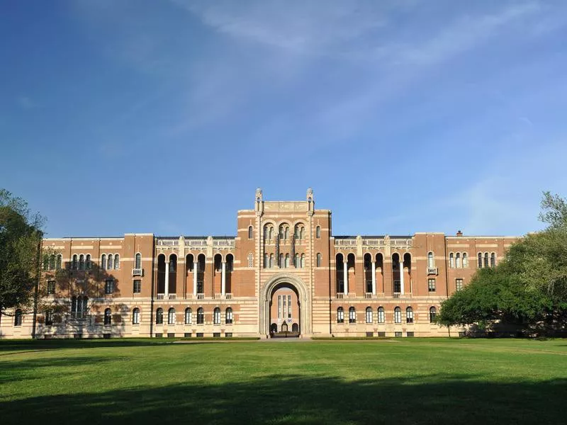 Rice University