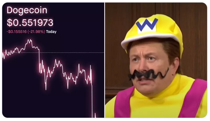 wario elon dogecoin reaction