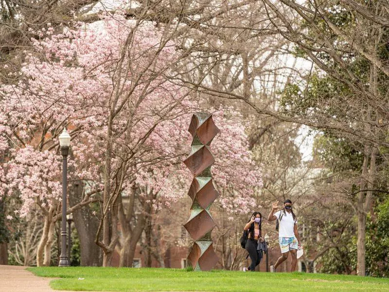 Vanderbilt University