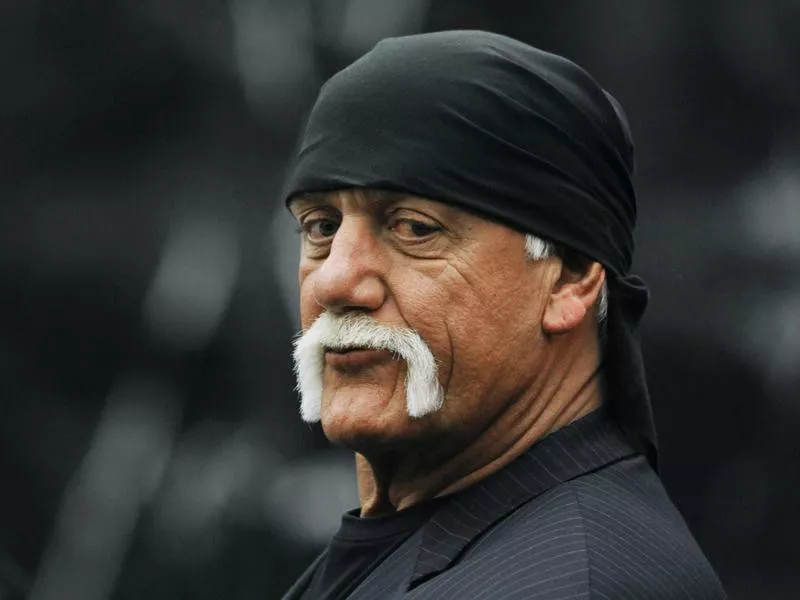 Hulk Hogan, Terry Bollea