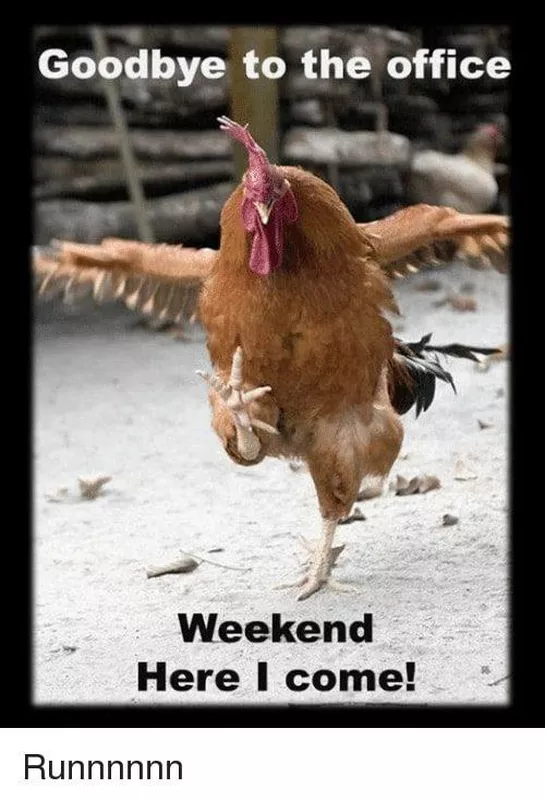 Chicken leaving the office meme