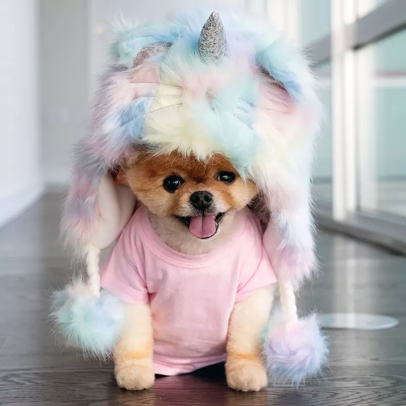 JiffPom