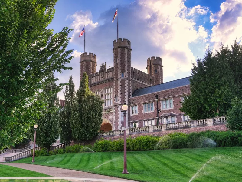 Washington University in St. Louis