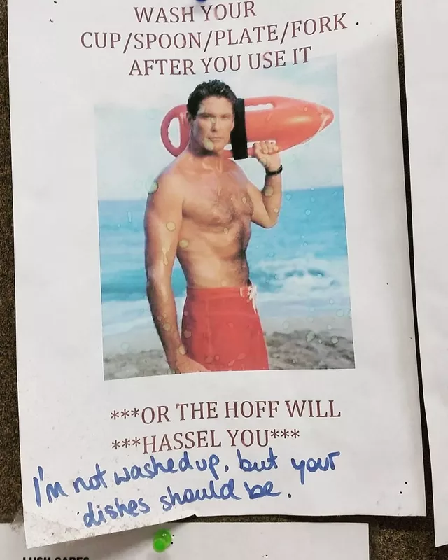 The Hoff