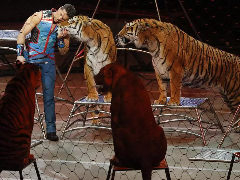 Ringling Bros. and Barnum & Bailey Circus