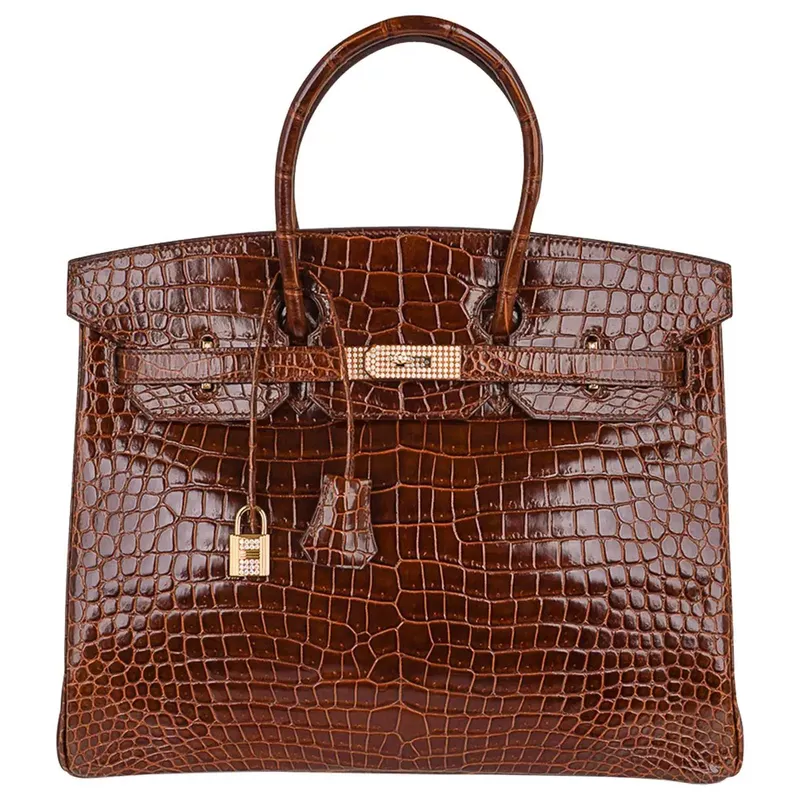 Diamond Crocodile Birkin