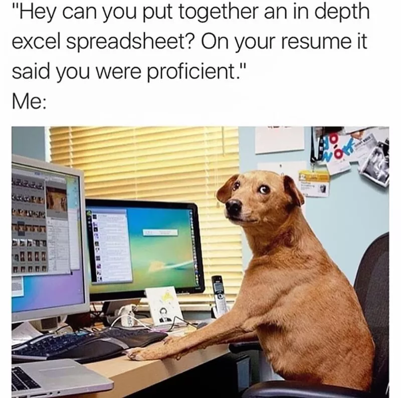 dog working on computer