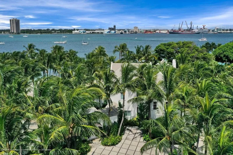 Palm trees on the property