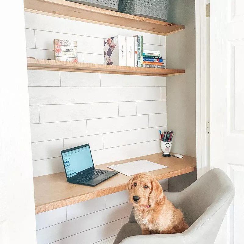 Dog sitting in cloffice