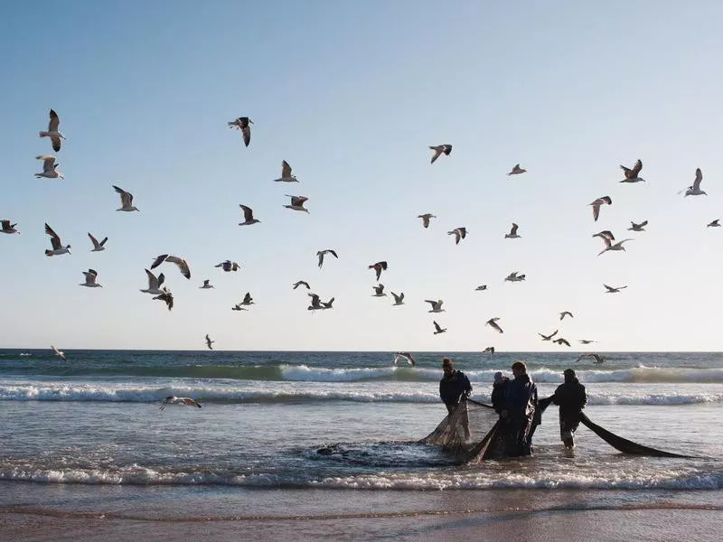 Traditional Fishing in Portugal