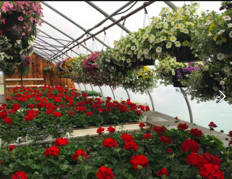 Barker’s Farm greenhouse