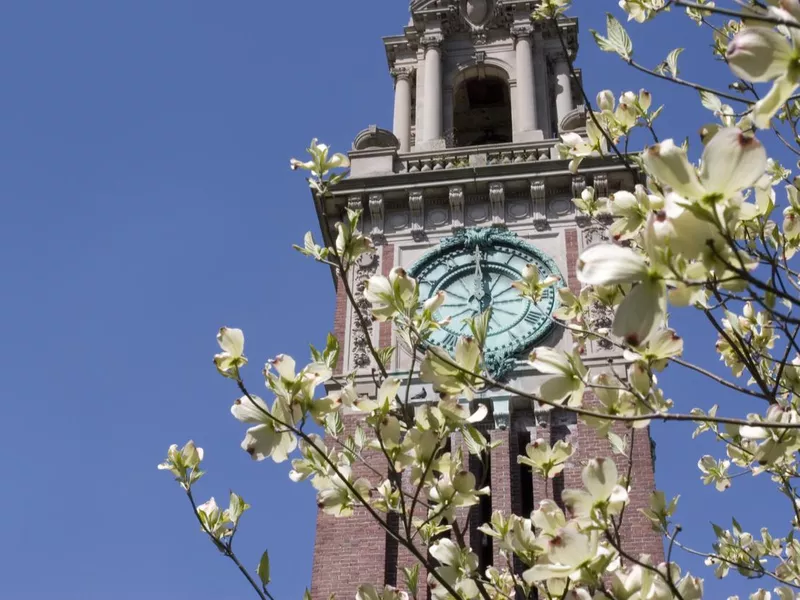 Brown University springtime