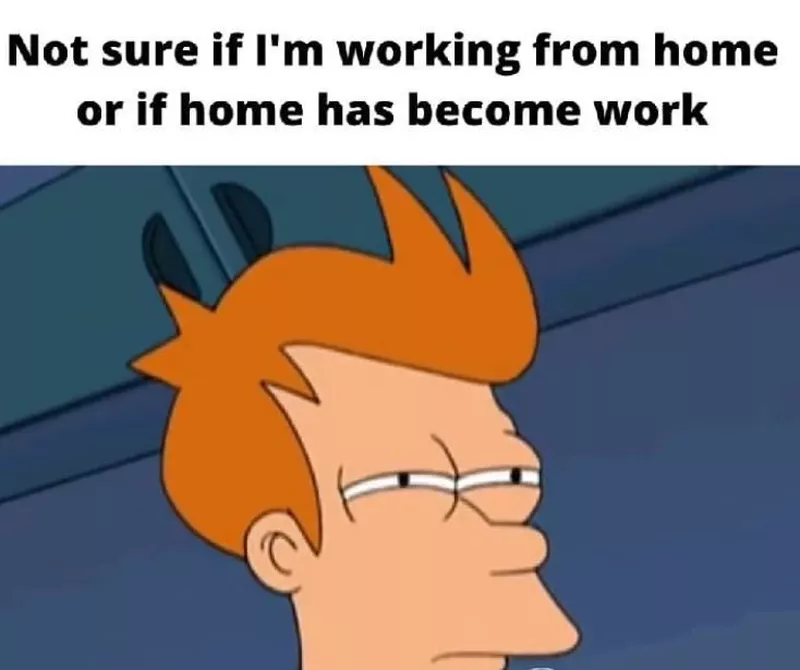 Fry meme