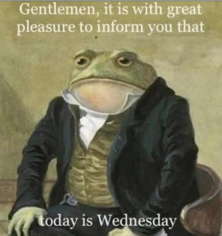 Wednesday frog meme