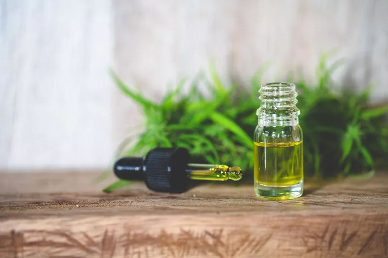 Cannabis CBD oil in a jar