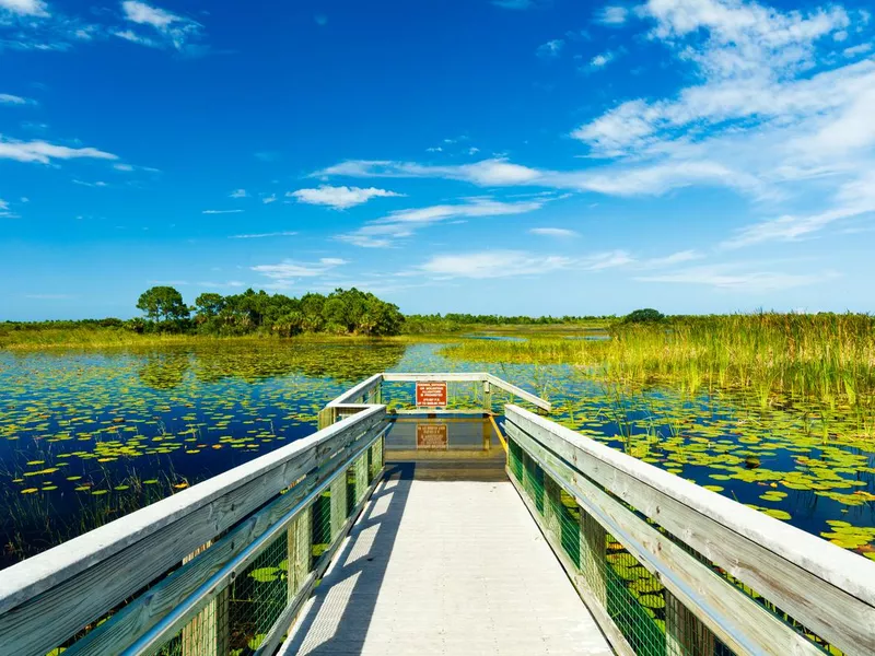 Florida Nature Preserve