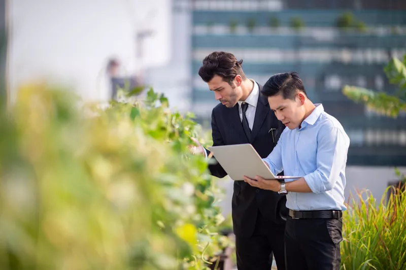 People analyzing plants