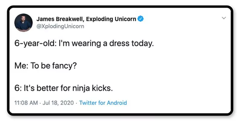 Ninja kicks