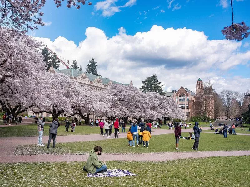 University of Washington