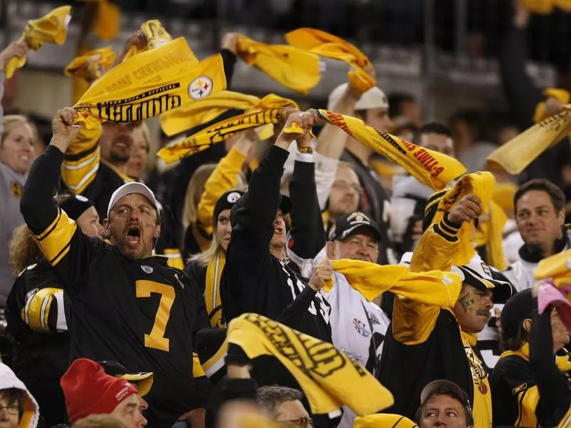 Terrible Towels