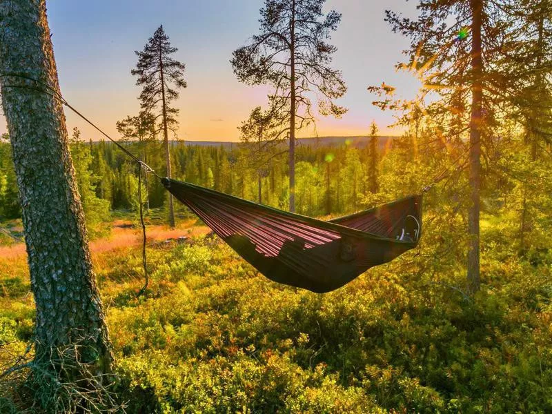 Hammock in Lapland